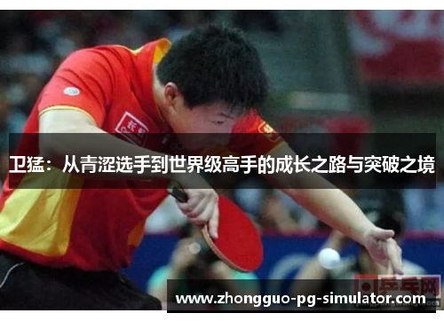 卫猛：从青涩选手到世界级高手的成长之路与突破之境