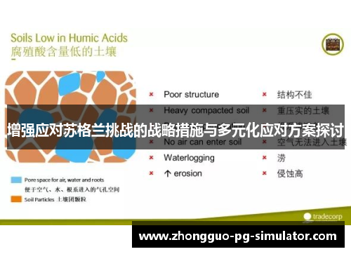 增强应对苏格兰挑战的战略措施与多元化应对方案探讨