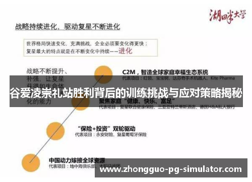 谷爱凌崇礼站胜利背后的训练挑战与应对策略揭秘 谷爱凌崇礼站胜利背后的训练挑战与应对策略揭秘