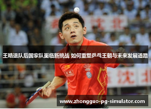 王皓退队后国家队面临新挑战 如何重塑乒乓王朝与未来发展道路